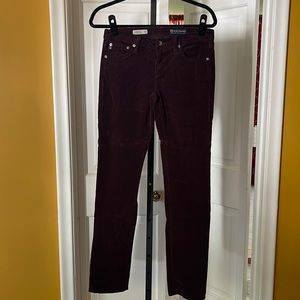 AG Adriano Goldschmied Women's Skinny Pants in Dark Purple